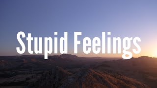 220 KID & LANY - Stupid Feelings (Lyrics)