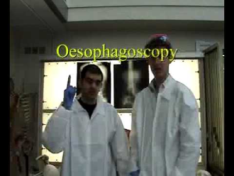 DR Table 23: 2008 SSC Project (Censored)