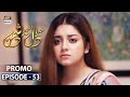 Mera Dil Mera Dushman Episode 53 - Promo - ARY Digital Drama