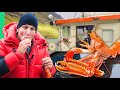 European Lobster Trapping!! Seafood Gold in the Atlantic!!