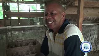 NURC AWARDS RABBIT BREEDER DAMAGES IN WASCO COMPLAINT