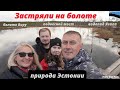 Эстония |  Природа Эстонии |  Застряли на болоте |  Влог