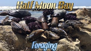 Episode 52: Half Moon Bay Foraging