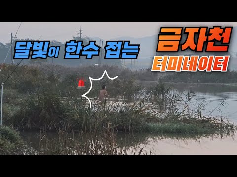 겨울에 입수를? 금자천 터미네이터를 만나다