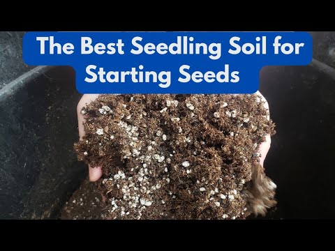 The Best Seedling Soil for Starting Seeds Indoors (Grow Strong Plants from  Day One) - YouTube