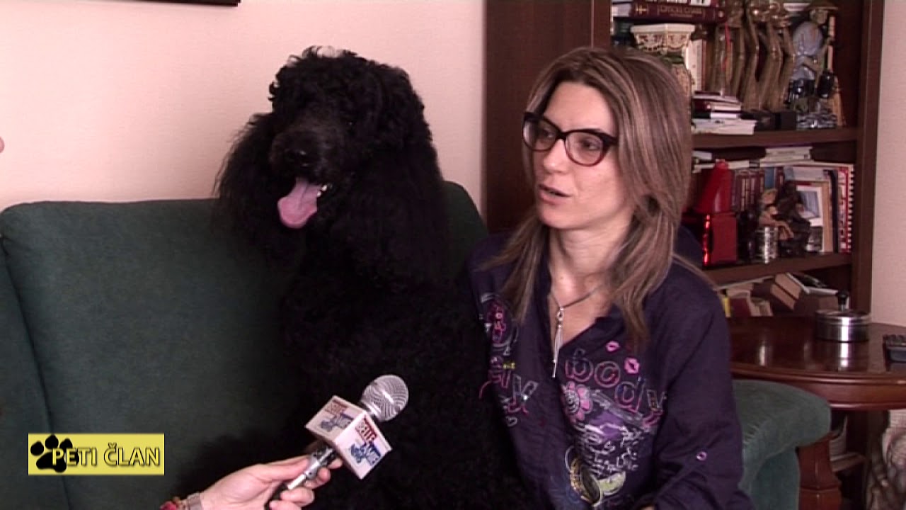 Peti Clan - Pudla 12 .07. 2018.