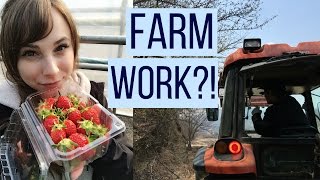 Ewhas Farm Experience Day