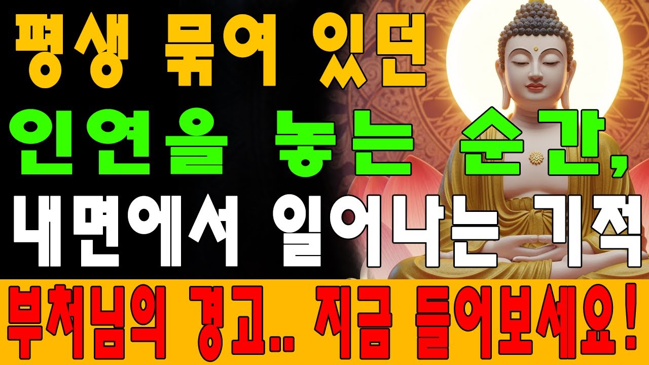 평생 묶여 있던 인연을 놓는 순간, 내면에서 일어나는 기적｜불교 지혜