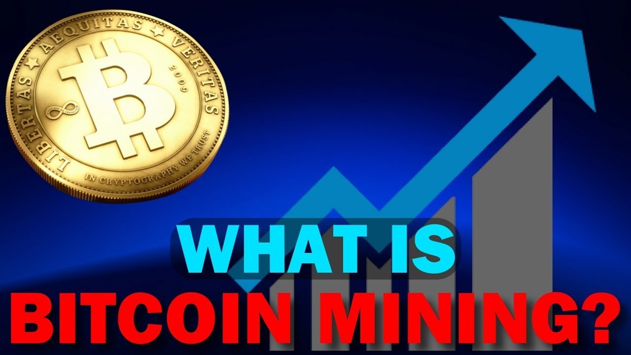 Mining Bitcoins In Iceland | Focus On Europe - DW English