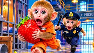 Monkey Bon Bon escapes from prison and finds a surprise exit! 🚨