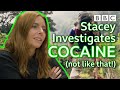 How does a top Colombian smuggler get cocaine past Europe's sniffer dogs? - BBC