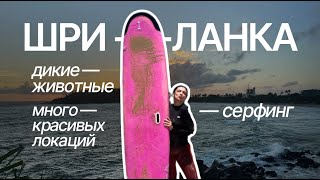 Шри-Ланка влог #3: путешествую одна, серфинг, Мирисса, Галле, дикая природа, Коггала, локации и цены