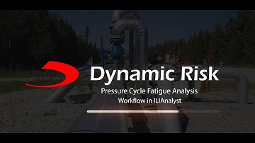 Dynamic Risk
