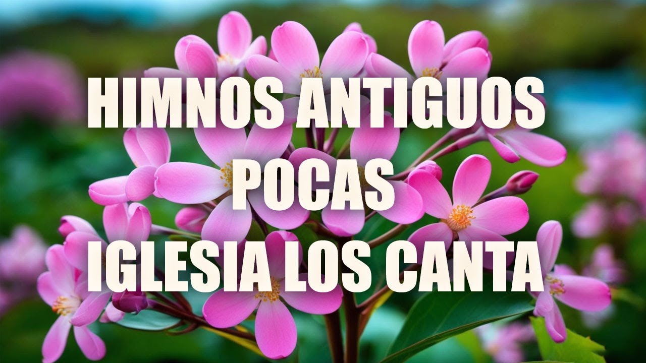 50 HIMNOS ANTIGUOS INOLVIDABLES 2025 - GRANDES CLÁSICOS DE LA FE - HIMNOS QUE TOCAN EL ALMA
