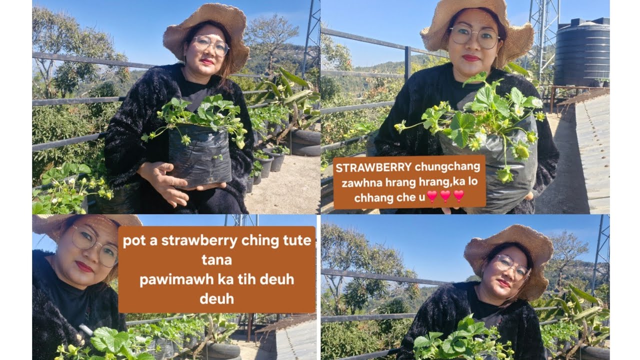 Клубника и Зирхо, вы такие милые💞&Поделитесь