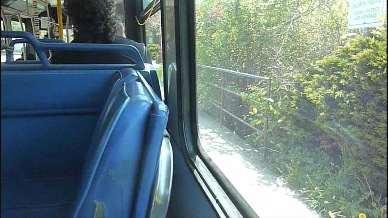 sunshine-coast-transit-system-1995-new-flyer-d40lf-8093-youtube