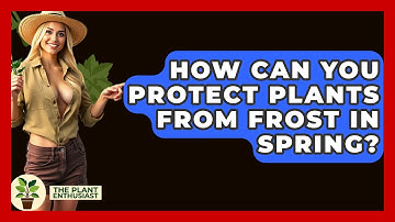 How Can You Protect Plants From Frost In Spring? - The Plant Enthusiast