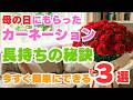 たったこれだけ！カーネーションがずっと咲く！超簡単な育て方！母の日にもらったカーネーションを長持ちさせてくださいね！