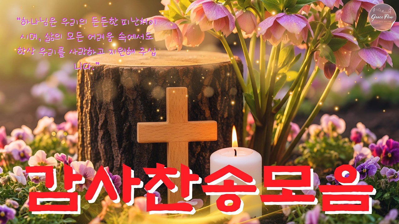 매일 감사하는 최고의 찬송 모음 🌸  전문가가 선정한 가장 감동적인 아침 찬양 💖 감사의 마음으로 찬송을 바친다