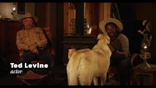 Voting As An Independent In The California Democratic Primary W Ted Levine