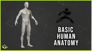 How I train myself to human anatomy sculpting