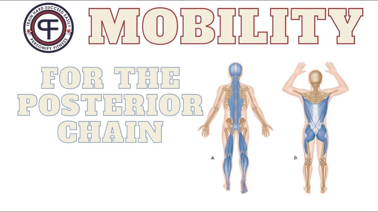 Posterior Chain Mobility YouTube