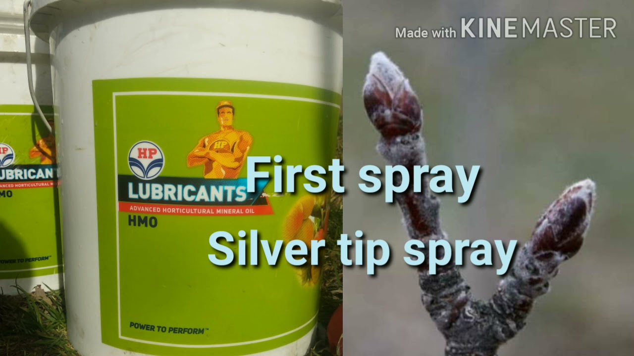 HP HMO spray oil dormant oil silver tip stage spray oil