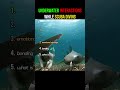 UNDERWATER INTERACTIONS😮