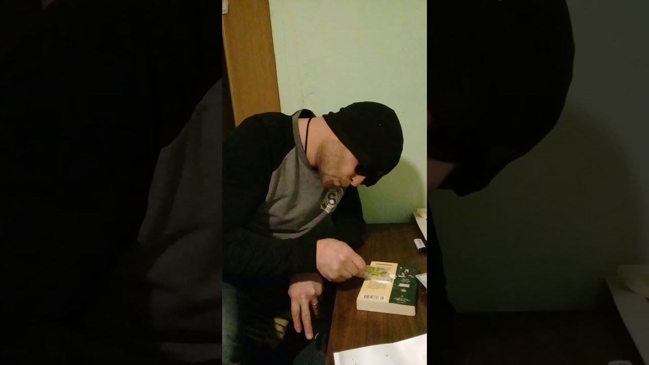 Питомник виста маэстро