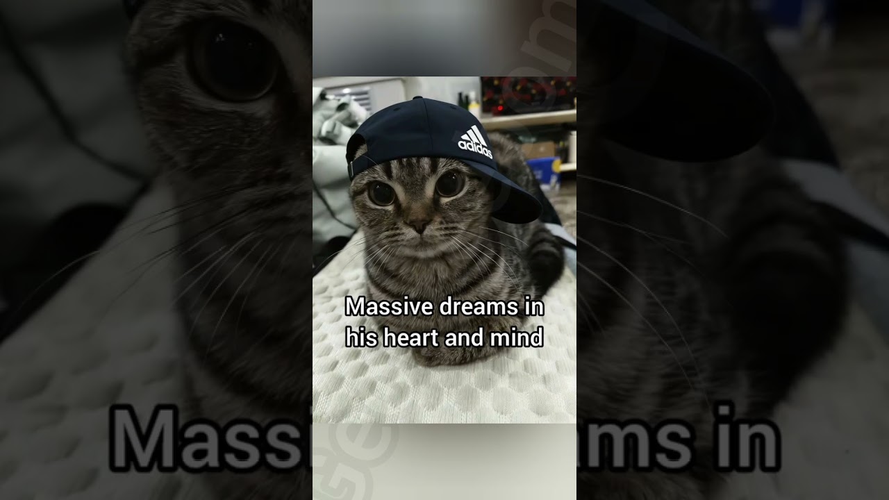 Я — ниллионэр 