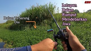 Sarang Ikan Banyak Dekat Sini || Berani Mencuba Pasti Berhasil