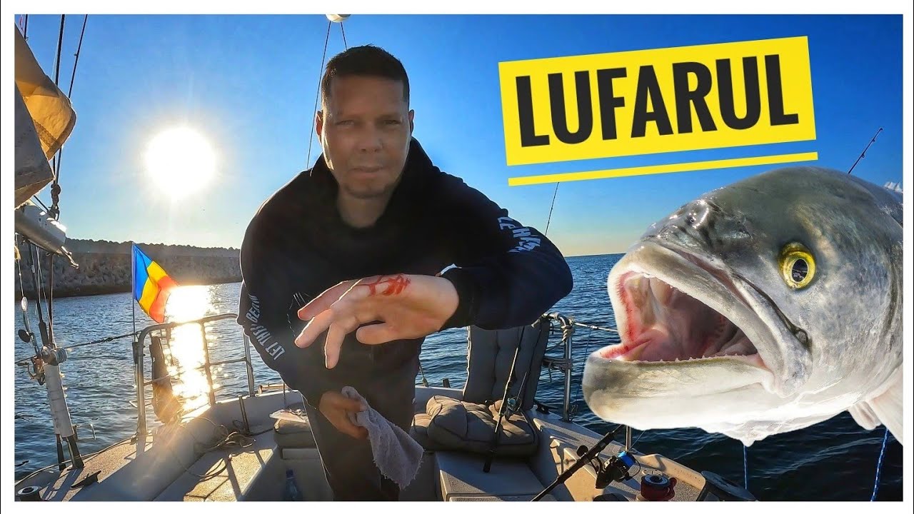 M-a mușcat cel mai agresiv pește din Marea Neagră.