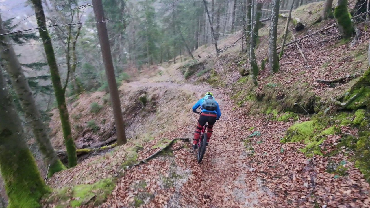 DJI Neo 2 Fast  Track in forest Mountainbike