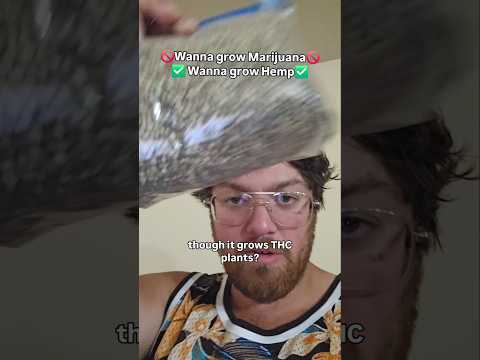 this is NOT marijuana 🚫