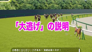 「大逃げ」脚質の説明 - リアル競馬ジョッキー screenshot 5