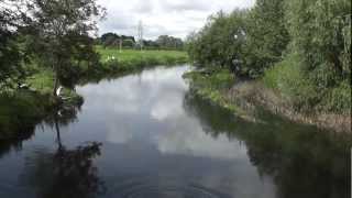 Throop Fishery Part 2. River Stour, Dorset.