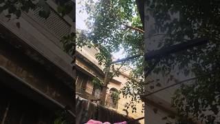 inna Ma Al Usri Yusraquran recitationtranslationviral trendingshortsfeed allahajmalraza