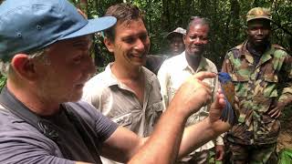 Biological Sciences BSc (Ecology Stream) at Imperial College London