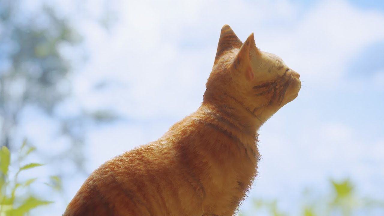 Stray - Complete Walkthrough (All Memories, Badges, Scratches and Nuzzles)