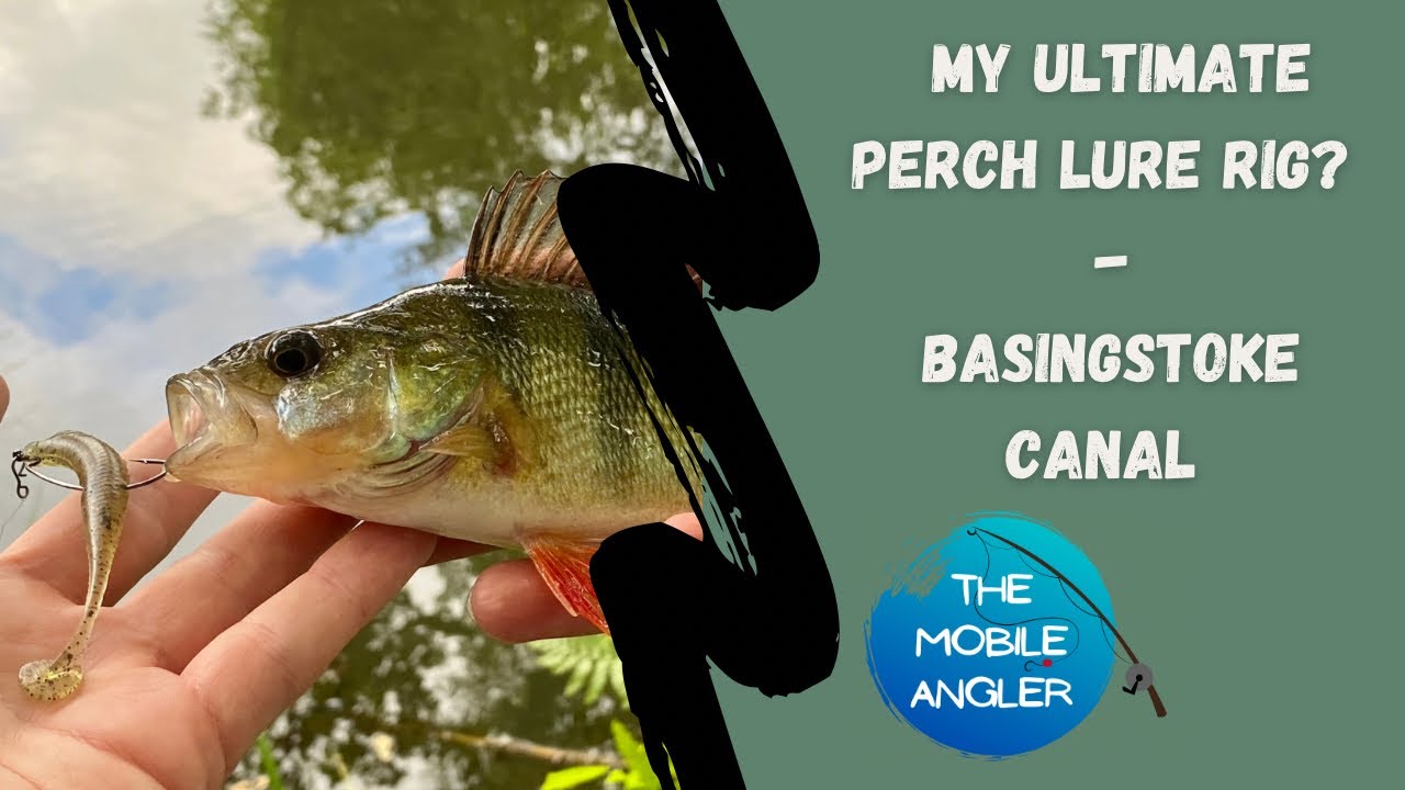 UL Perch Lure fishing Basingstoke Canal YouTube
