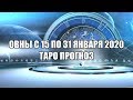 Овны с 15 по 31 Января 2020 Таро Прогноз