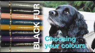 How to choose coloured pencils for black fur