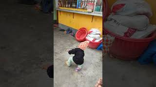 VID 20240106 121445
