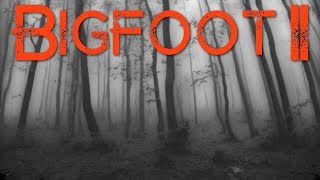 Bigfoot in Finland Part 2: Missing Thai Berry Picker
