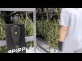 Redbud Roots Shows Off Pipp Horticulture's Mobile Drying Racks