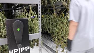 Redbud Roots Shows Off Pipp Horticulture's Mobile Drying Racks