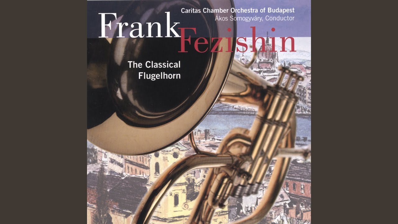 Sperger Horn Concerto in E flat - Allegro