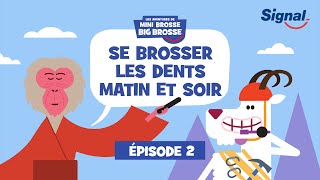 Les Aventures De Mini Brosse Big Brosse. Episode 2 : Se Brosser Les Dents Matin Et Soir
