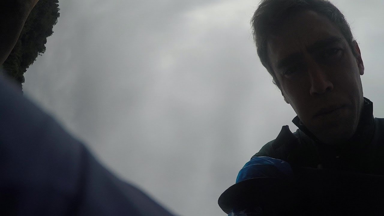 Horse Post Mortem (graphic content) YouTube