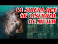 LA SIRENA QUE SE DISFRAZÓ DE MUJER- LEYENDA DE LA SIRENA DEL MAR CÉLTICO